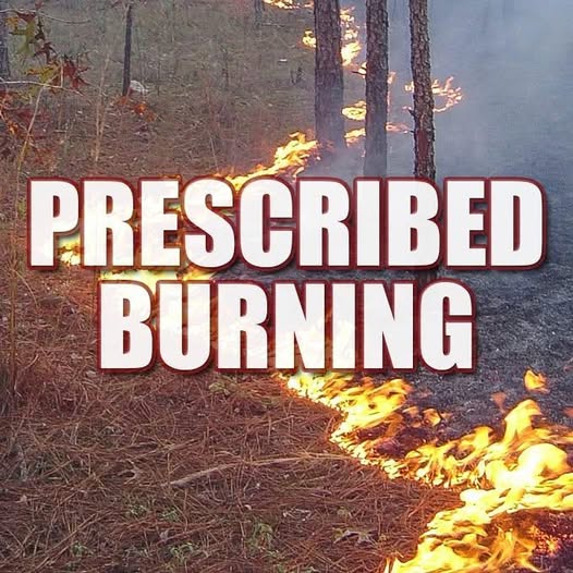 “Major Fire Erupts in St. Augustine: Emergency Crews Rush to Contain Growing Blaze”