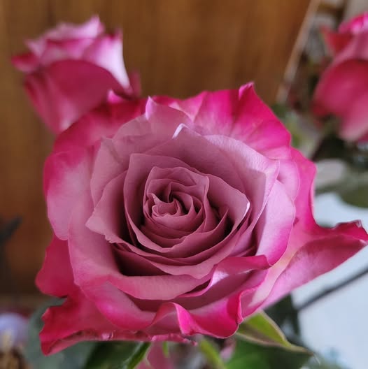 Jasmine Mendoza, Stockton CA, Obituary, Death: Beloved Communty Resident Has Sadly Passed Away
