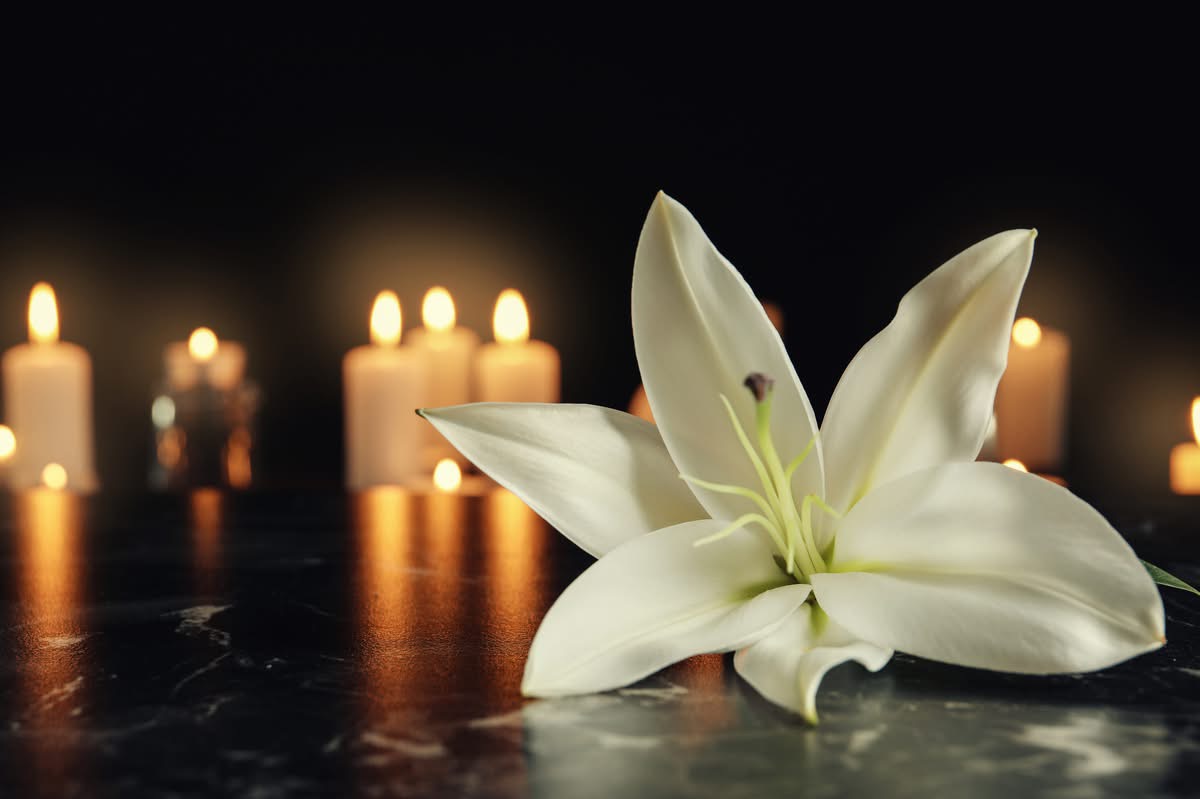 Sydni Mackinnon, Yarmouth NS Obituary, Death: Beloved Community Resident Has Sadly Passed Away